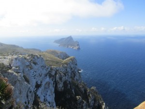IMG_5064 (Medium)